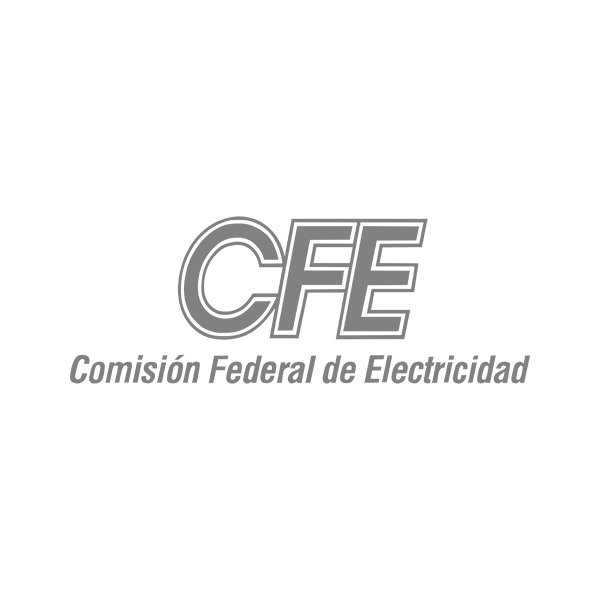 gruporam_clients_cfe